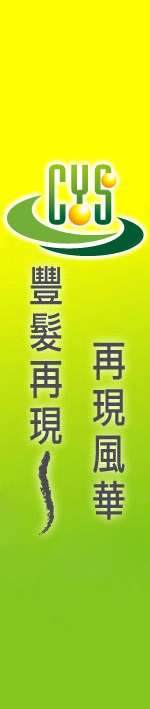 記憶髮型功能科技假髮